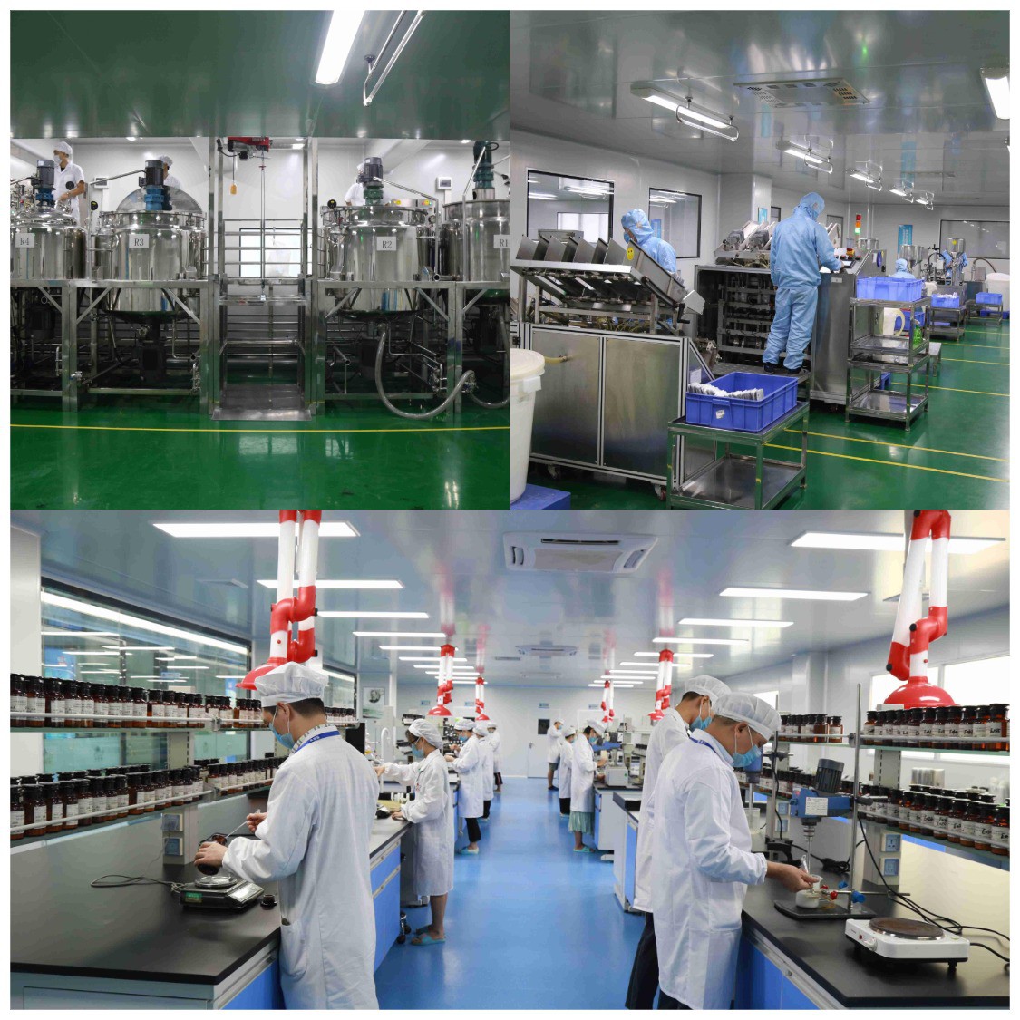 work shop for nose patch